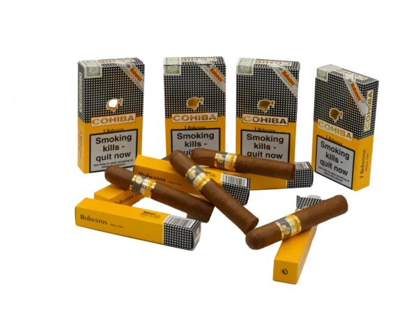 COHIBA ROBUSTOS - Gambar 2