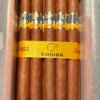 IMG_0512.jpg.d34f9af7afc71d496634f7f5bc323205 COHIBA SIGLO V