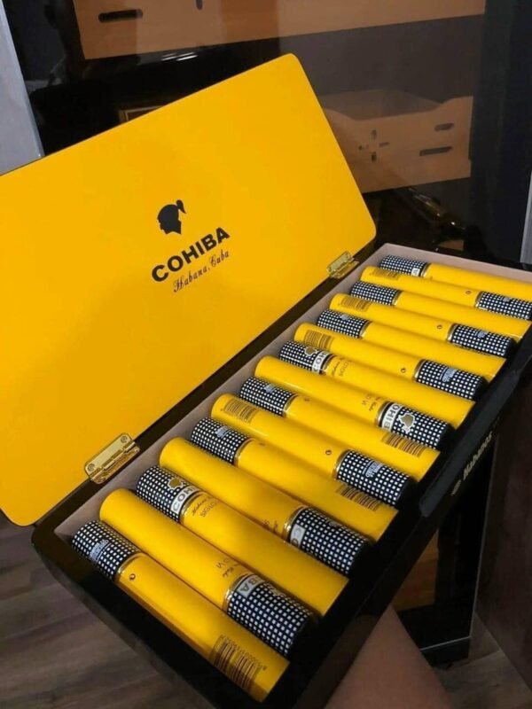 COHIBA SIGLO VI HUMIDOR - Gambar 3