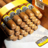 COHIBA ROBUSTOS