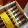 s1boxkayu COHIBA SIGLO I