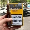 COHIBA WIDE SHORT