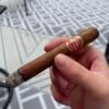 PARTAGAS MILLE FLUERS