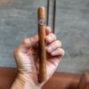 MONTECRISTO NO. 1