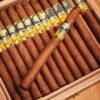 COHIBA PANETELAS