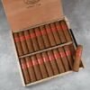 PARTAGAS SERIE D NO.6