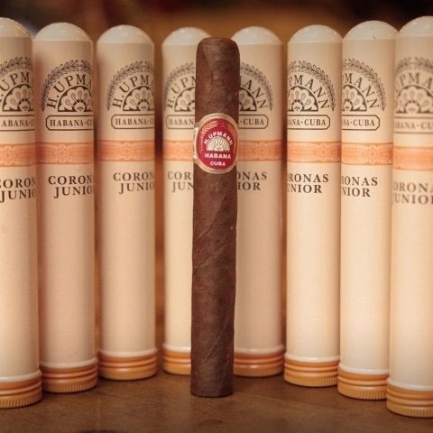 H. UPMANN CORONAS JUNIOR