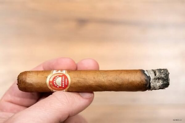 H. UPMANN REGALIAS