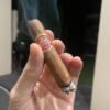 PARTAGAS SHORTS