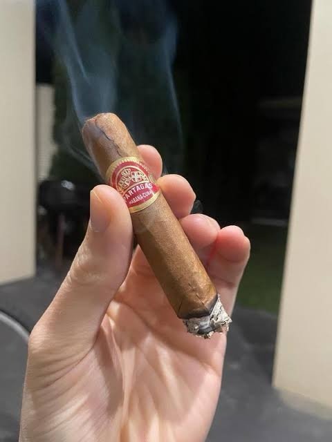 PARTAGAS SHORTS