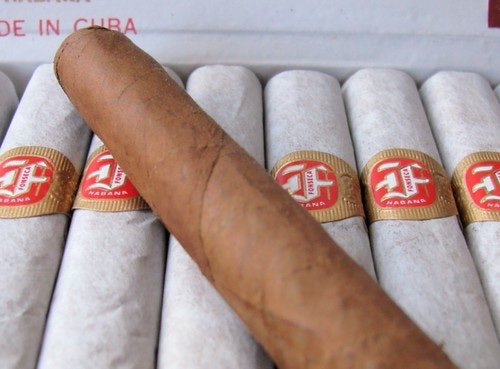 FONSECA KDT CADETES