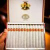 FONSECA KDT CADETES