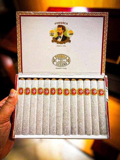 FONSECA KDT CADETES
