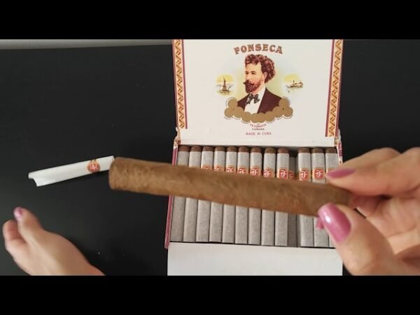 FONSECA DELICIAS