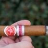 LA FLOR DE CANO GRAN CANO EDICION REGIONAL GRAN BRETANA