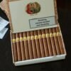 BOLIVAR PETIT CORONAS