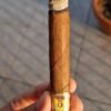 BOLIVAR PETIT CORONAS