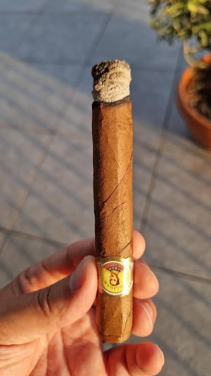 BOLIVAR PETIT CORONAS - Gambar 3