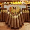 BOLIVAR ROYAL CORONAS