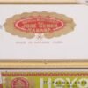 HOYO DE MONTERREY PALMAS EXTRA