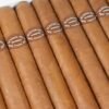 RAFAEL GONZALEZ PETIT CORONAS