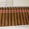 ROMEO Y JULIETA BELICOSOS