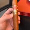 ROMEO Y JULIETA CUPIDOS LCDH