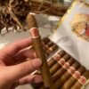 ROMEO Y JULIETA MILLE FLEURS