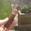 img_2157 ROMEO Y JULIETA PETIT ROYALES