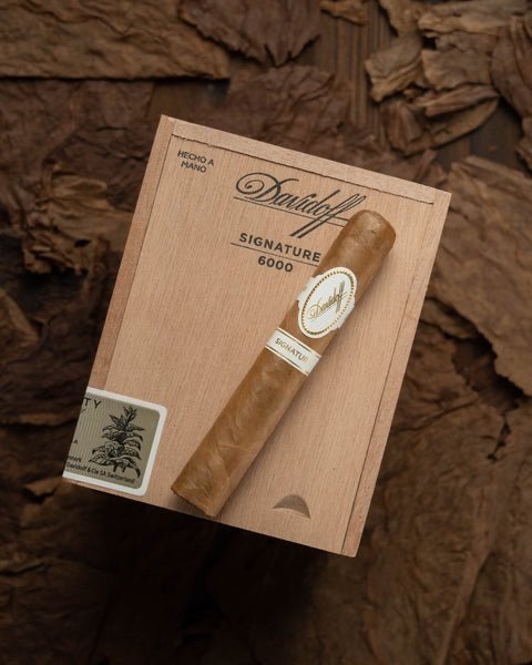 img_2607 DAVIDOFF SIGNATURE 6000
