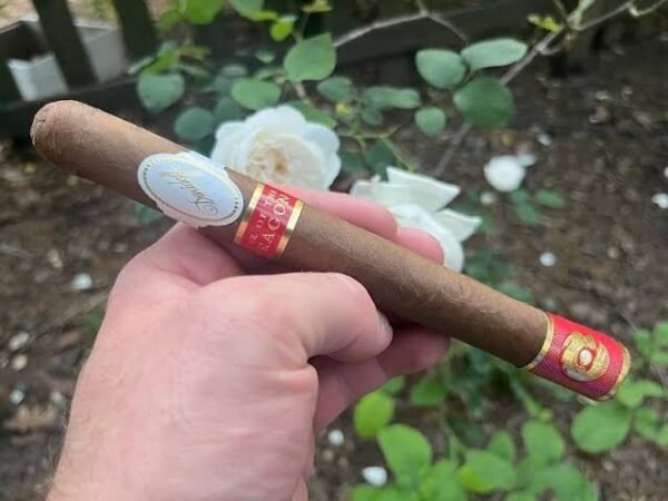 DAVIDOFF YEAR OF THE DRAGON